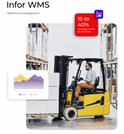 infor WMS